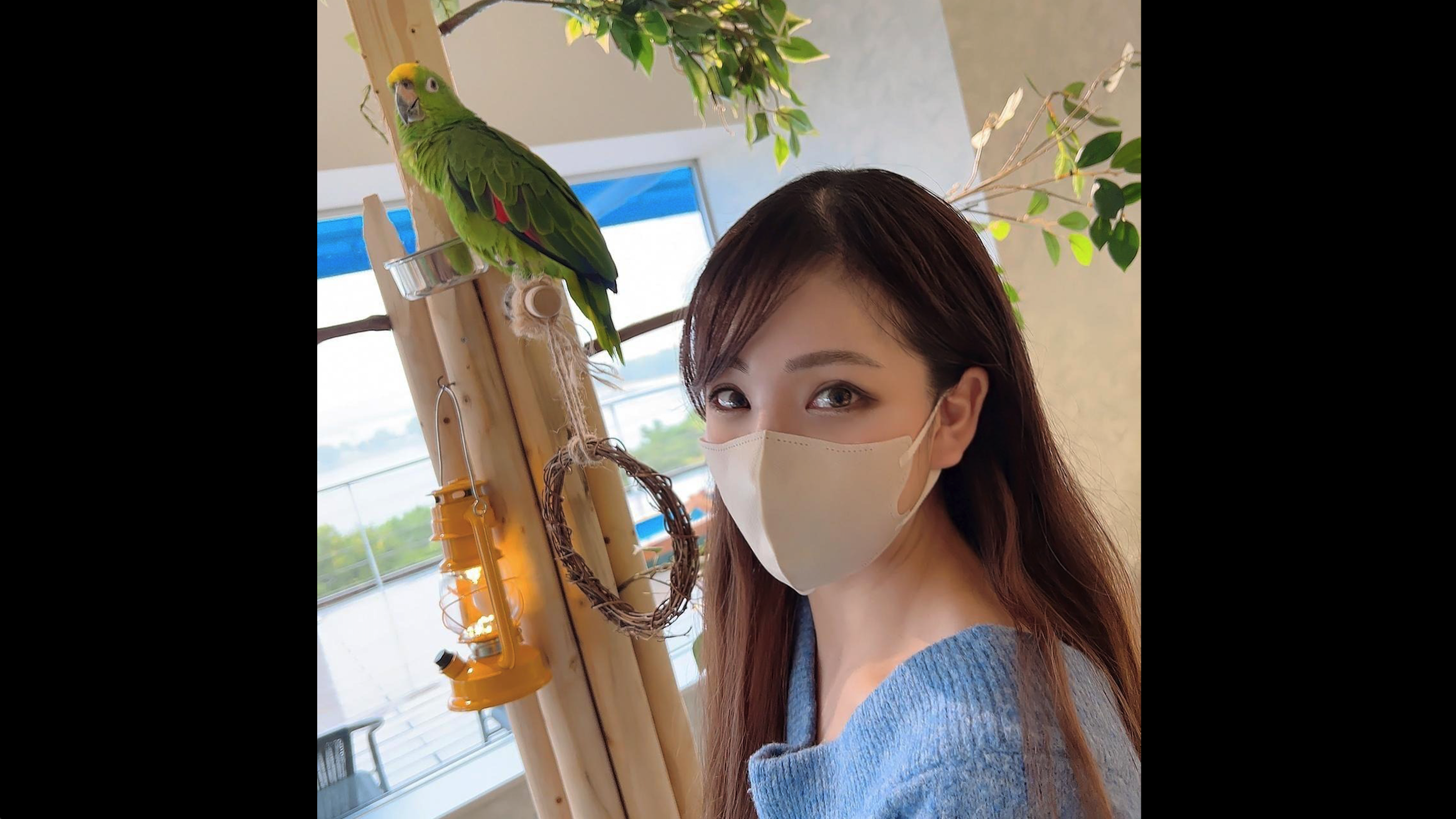 第一次摄影！！在公园的多目的厕所把对男人的顺从暴露裸体的度M敏感过的教育实习生带入生阴道直接射精！！并且带到酒店封面