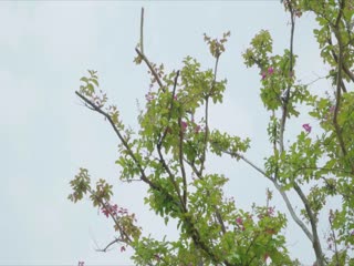 善良妈妈的朋友3封面