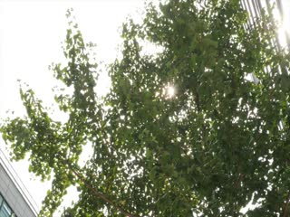你想改变吗封面