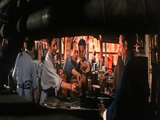 花飞满城春封面