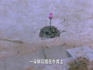 玉蒲团之偷情宝鉴封面