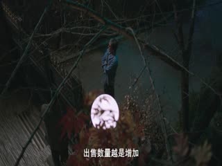 银娇封面