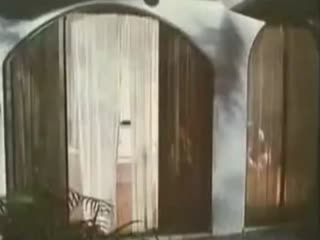三度偷情封面