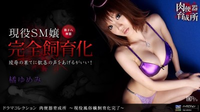 1pon 060910_852 橘ゆめみ 肉便器育成所 〜現役風俗嬢飼育化完了〜封面