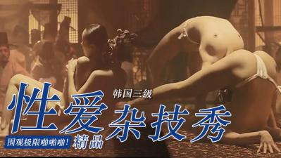 【三级】《美人图》封面