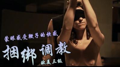 【三级】《愉虐秘境》封面