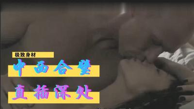 【三级】《上海宝贝》封面
