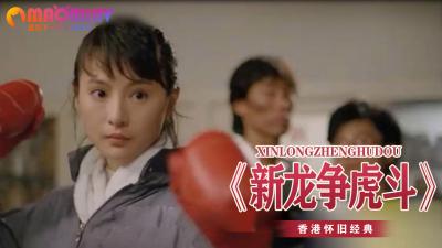 《新龙争虎斗》封面