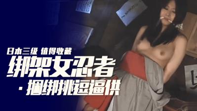 【三级】《艳剑客2：女忍者色洗脑》封面