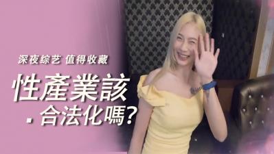 实测性产业该合法化吗？封面