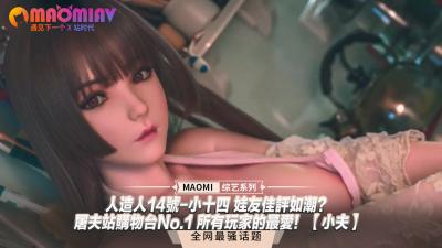 人造人14号-小十四 娃友佳评如潮？｜屠夫站购物台No.1 所有玩家的最爱！【小夫】封面