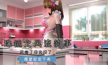 3D 珠链之风流韵事封面