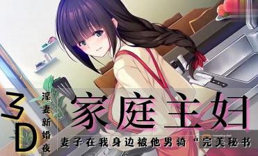 3D 新婚-家庭主妇封面
