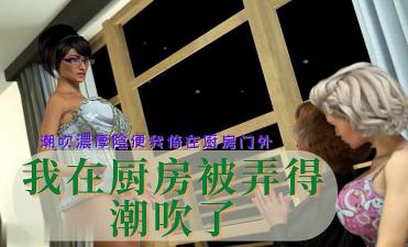 3D 我在厨房被弄得潮吹了封面