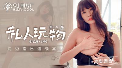 【91制片厂】91CM-245 私人玩物 第二集-高梨遥香封面