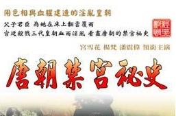 香港三级片唐朝禁宫秘史封面
