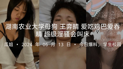 湖南农业大学母狗 王弈晴 爱吃鸡巴爱吞精 超级淫骚会叫床封面