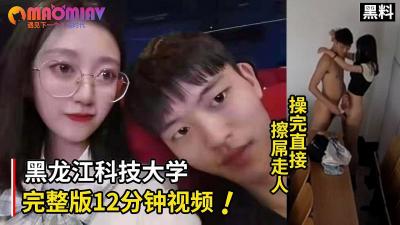 黒龙江科技大学12分完整版.封面