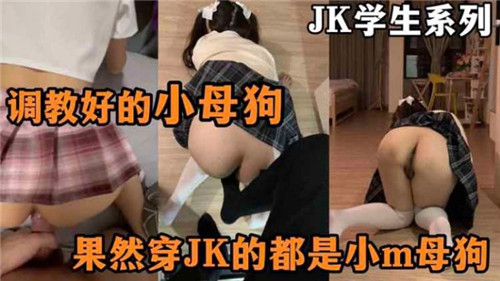 JK学生系列调教好的小母狗封面