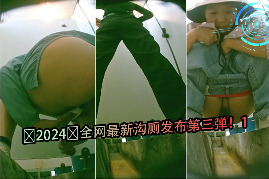 2024全网最新沟厕发布第三弹1封面