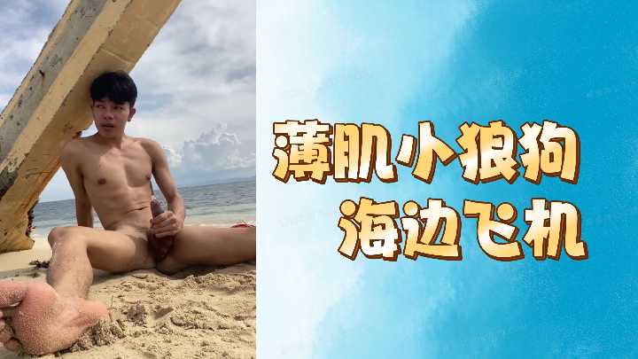 薄肌小狼狗海边飞机封面