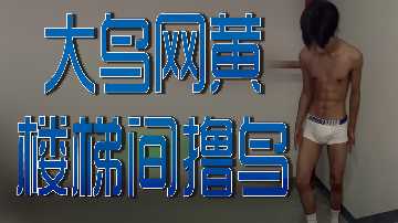 大鸟网黄楼梯间撸鸟封面