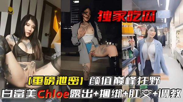 独家吃瓜重磅泄密颜值巅峰狂野白富美露出捆绑肛交调教封面