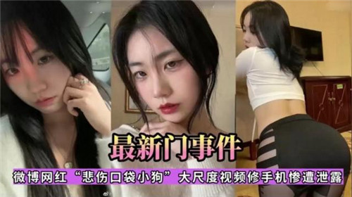 最新门事件微博网红悲伤口袋小狗大尺度视频修手机惨遭泄露封面
