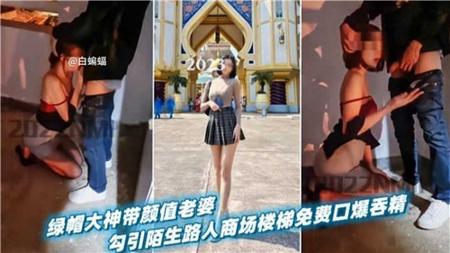 绿帽大神带颜值老婆勾引陌生路人商场楼梯免费口爆吞精封面