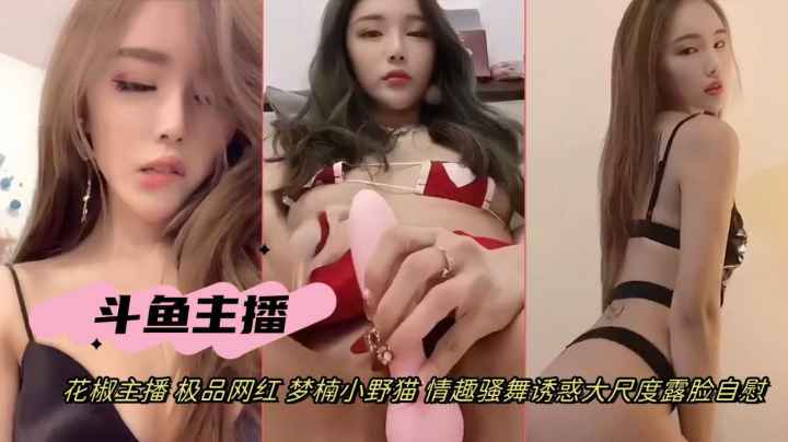 抖音网红女主播梦楠小野猫情趣骚舞道具自慰诱惑露脸自封面