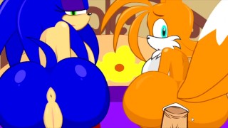 SonicTransform2无尽动画封面