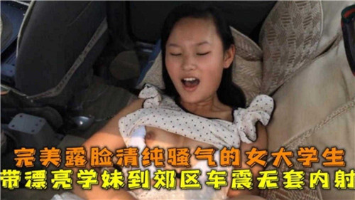 带漂亮学妹到郊外车震封面