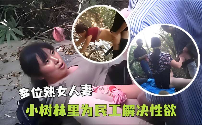 多位熟女人妻小树林里为民工解决性欲封面