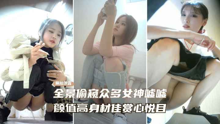 高端窥视商场女卫生间全景偷拍多位小姐姐嘘嘘绝佳身材人美逼靓封面