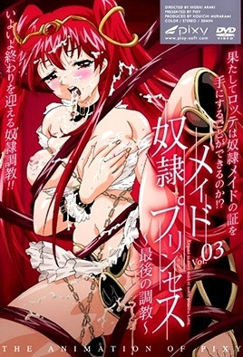奴隶女仆公主3封面