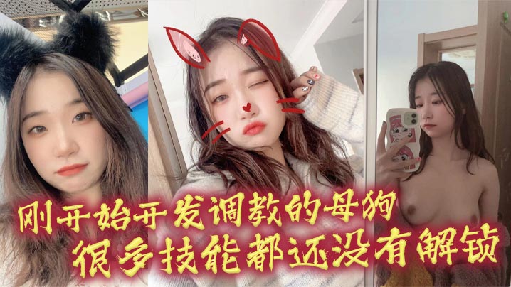 刚开始开发调教的母狗很多技能都还没有解锁封面