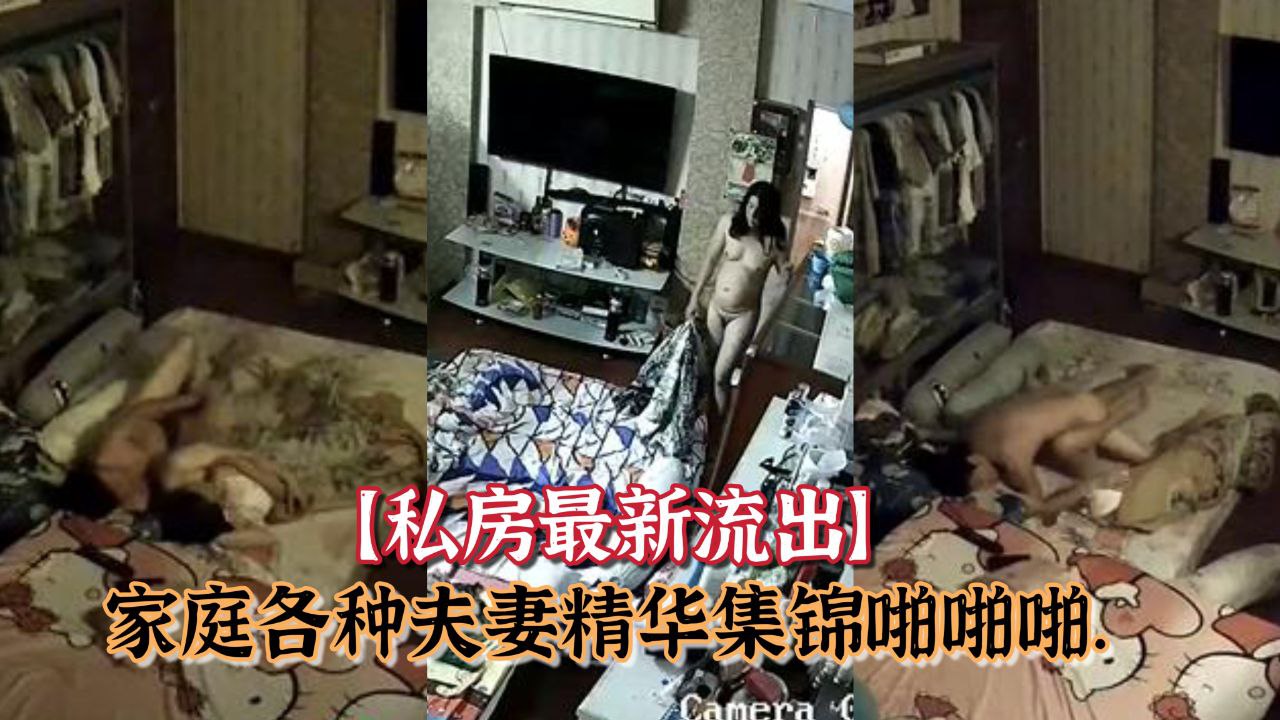 私房最新流出黑客破解摄像头偷拍家庭各种夫妻精华集锦啪啪啪封面