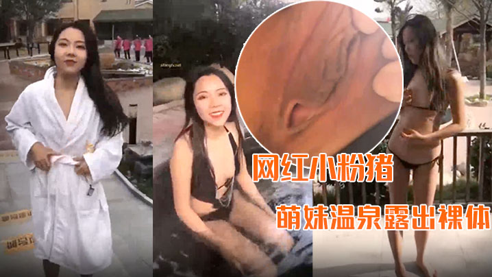 精品推荐网红小粉猪西萌工作室流出萌妹温泉露出裸体问路车内自慰封面