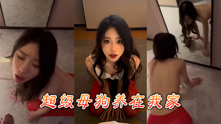 超级母狗养在我家封面