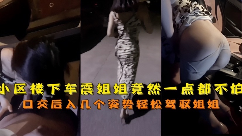 来人啦骗你的啦小区楼下车震姐姐竟然一点都不怕的封面