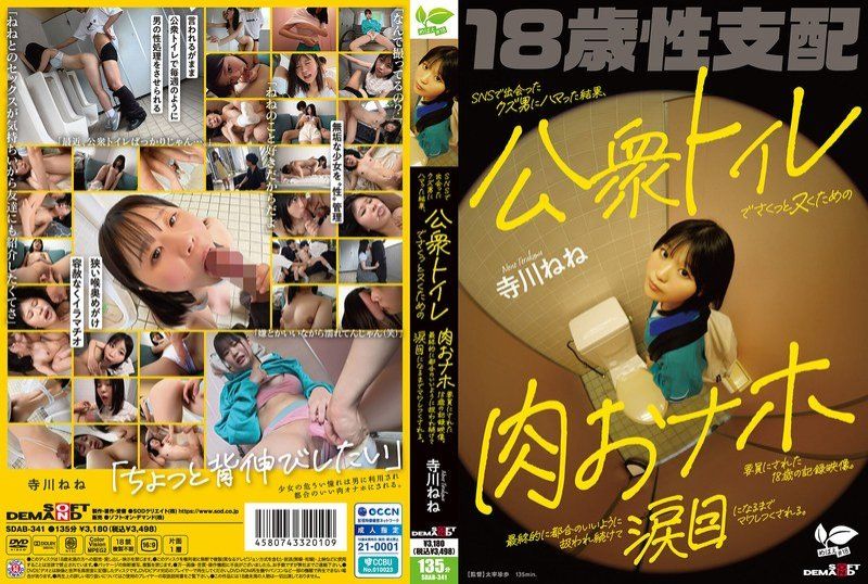 迷恋在社交网站上认识的渣男，最终成为他用来在公共厕所里轻松解决性需求的肉体工具的18岁记录影片 SDAB-341封面