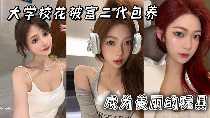大学校花被富二代包养成为美丽的玩具封面