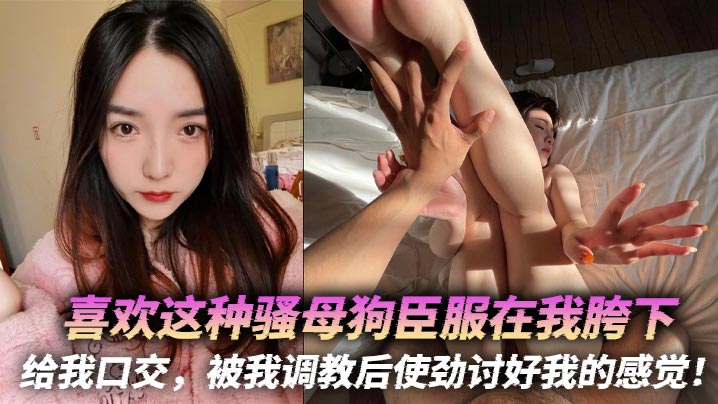 喜欢这种骚母狗臣服在我胯下给我口交被我调教后使劲讨好我的感觉封面