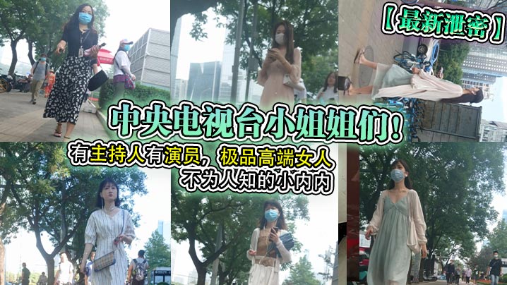 最新泄密中央电视台小姐姐们有主持人有演员极品高端女人不为人知的小内内封面