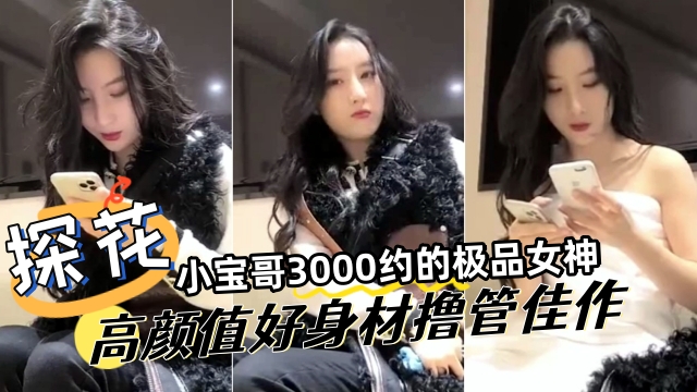 探花精选小宝哥3000网约极品女神高颜值好身材撸管佳作封面