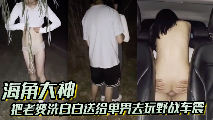 海角大神把老婆洗的白白送给单男去玩野战车震真的太刺激了封面