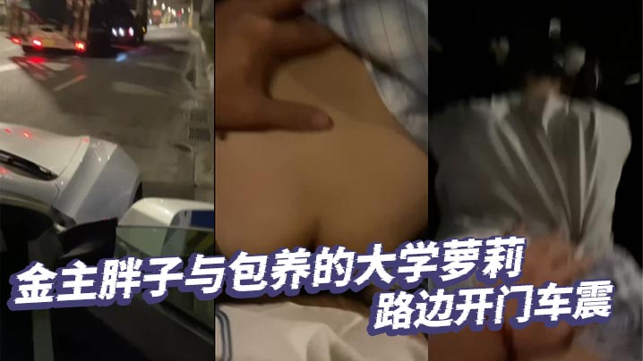 金主胖子与包养的大学萝的莉路边开门车震封面