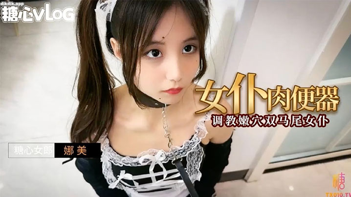 娜美女仆肉便器之调教嫩的穴双马尾女仆封面