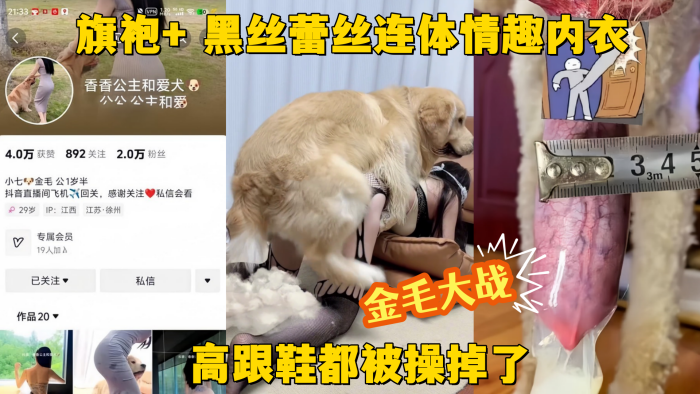 金毛大战抖音网红贱狗香香公主旗的袍黑丝蕾丝连体情趣内衣金毛大战高跟鞋都被操掉了封面
