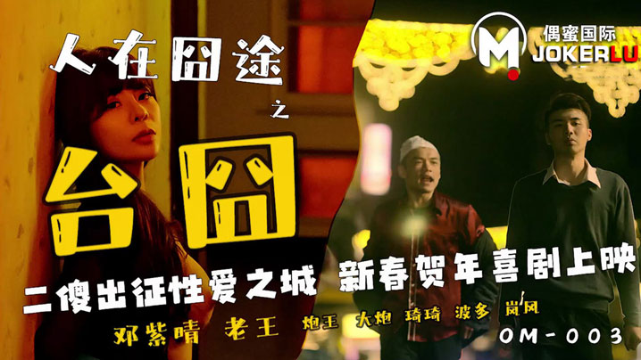 邓紫晴人在囧途之台囧_二傻出征的性爱之城封面